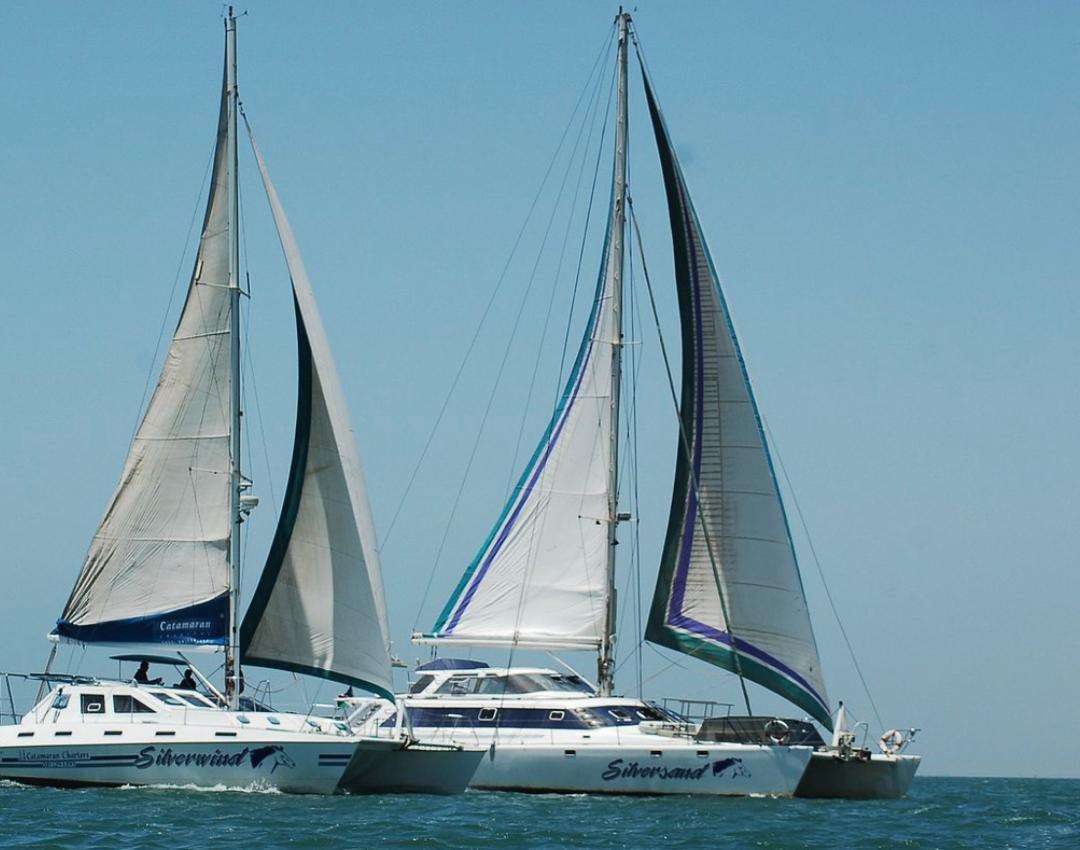 Dolphin & Seal Catamaran Cruise