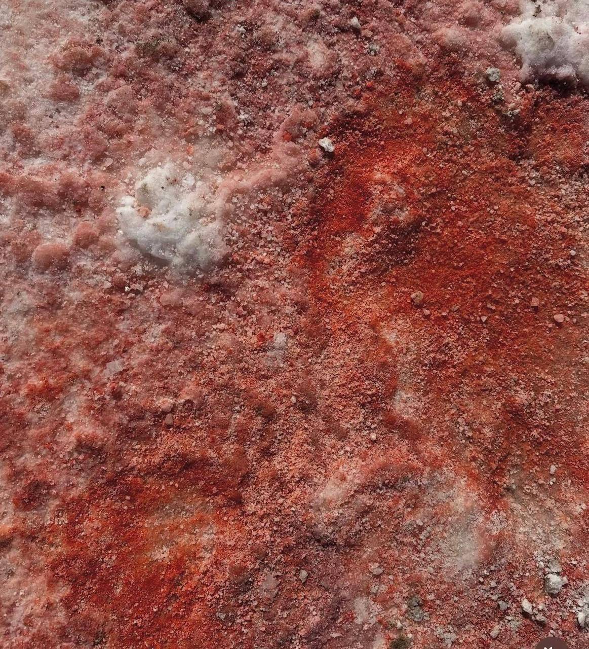 Colours of the Salt Pan