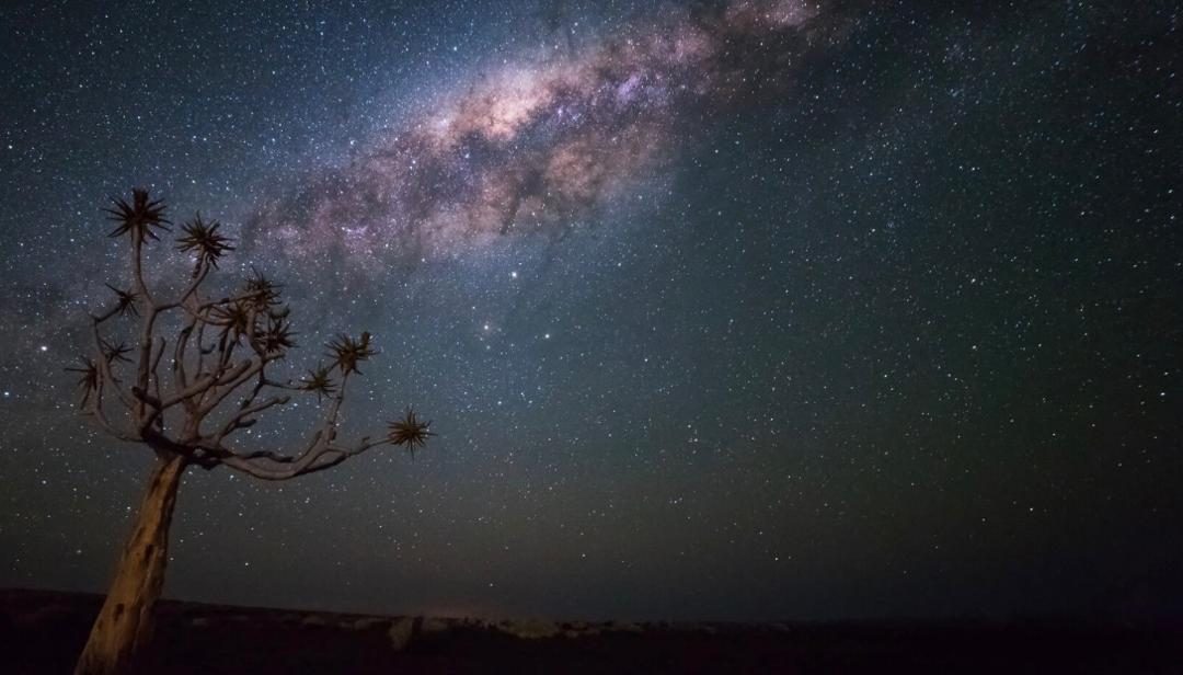 Stars Over the Namib