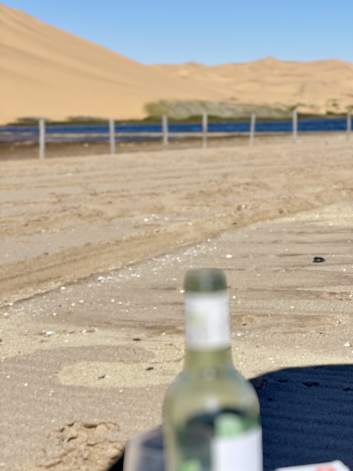 A Namib Sundowner