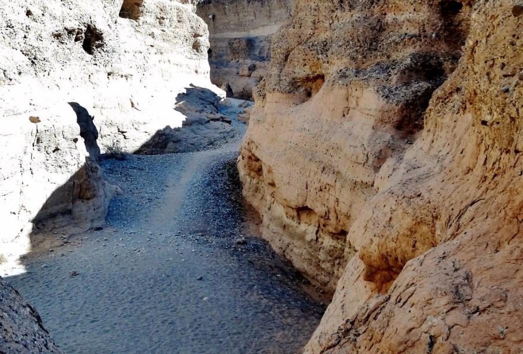 The Canyon Trail